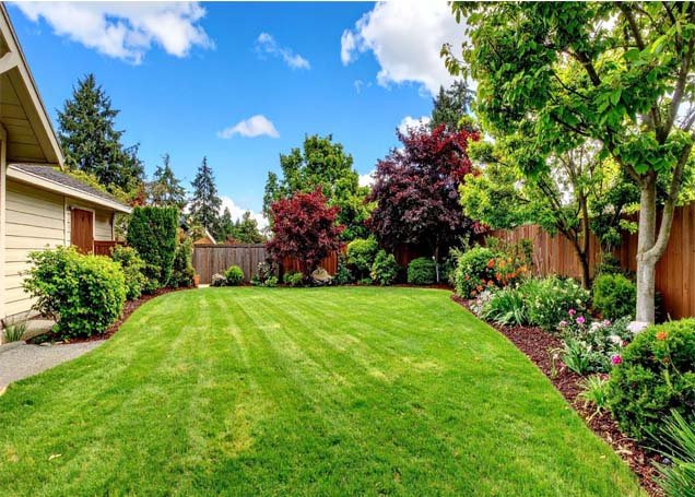 how to get rid of weeds
