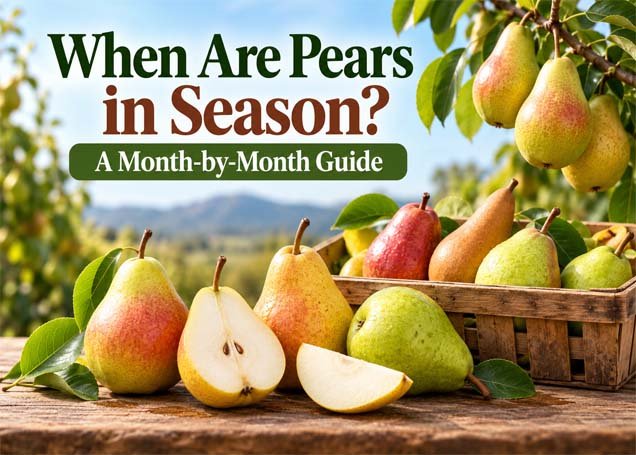 When Are Pears in Season A Month-by-Month Guide