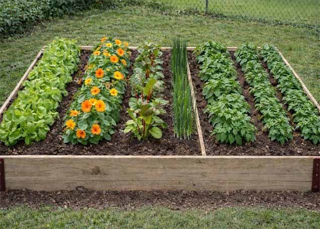how-to-build-a-raised-garden