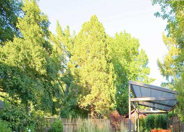 Small backyard fire pit area with gravel landscaping and outdoor chairs